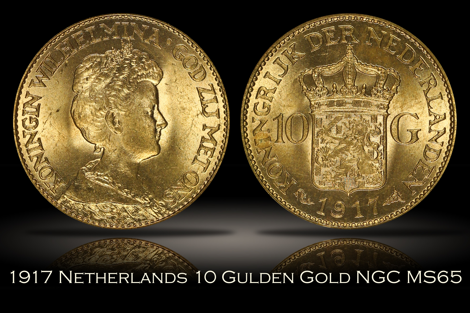 1917 Netherlands 10 Gulden Gold NGC MS65