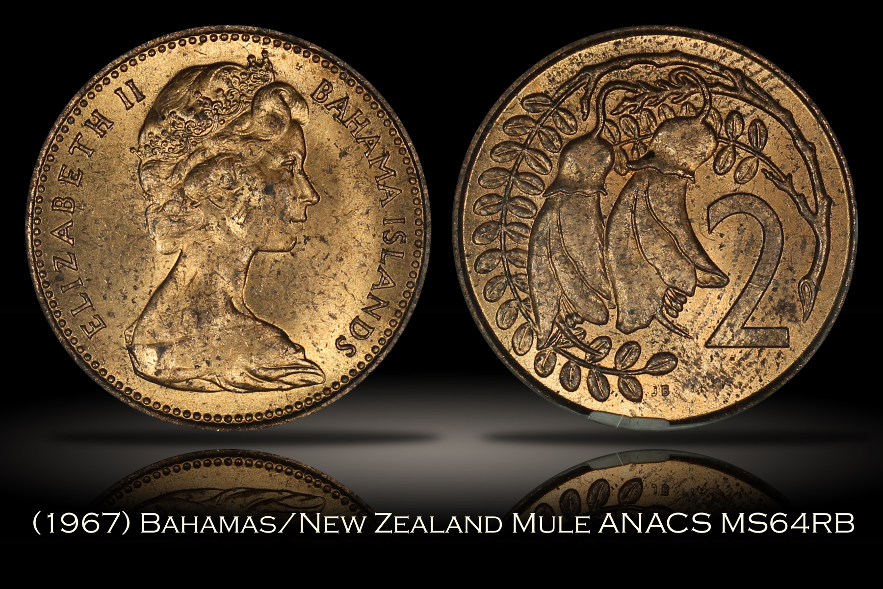 1967 Bahamas/New Zealand Two Cent Mule ANACS MS64RB