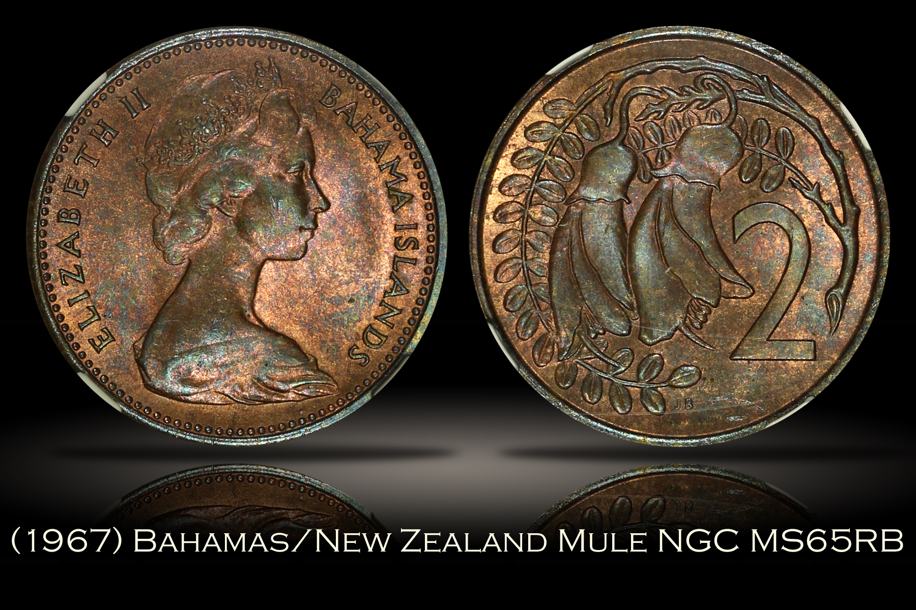 1967 Bahamas New Zealand 2 Cent Mule NGC MS65RB