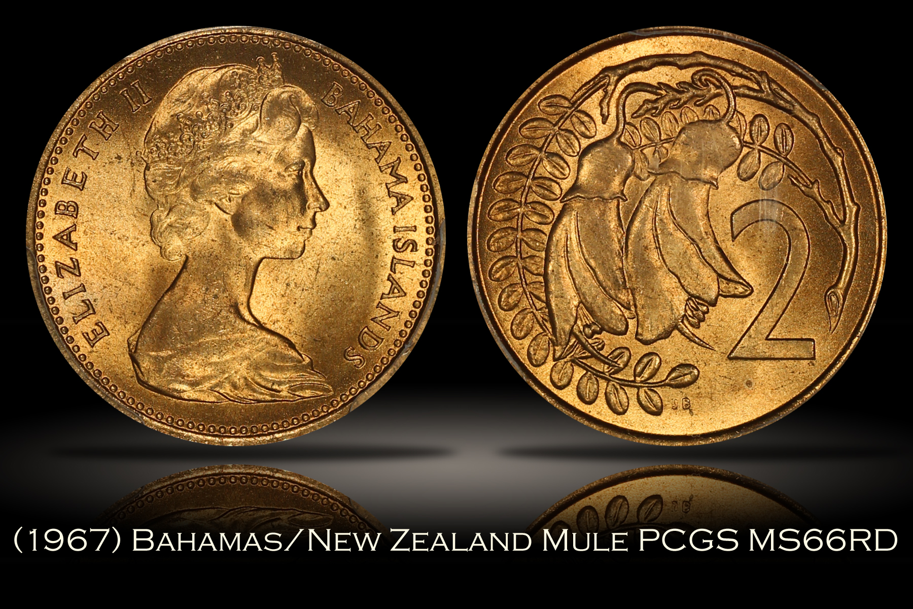 1967 Bahamas New Zealand 2 Cent Mule PCGS MS66RD