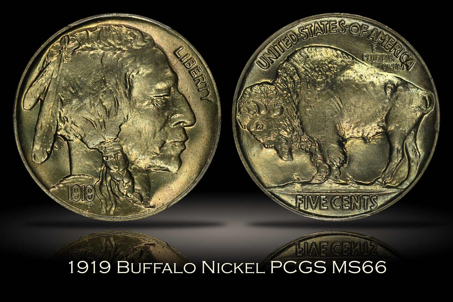1919 Buffalo Nickel PCGS MS66