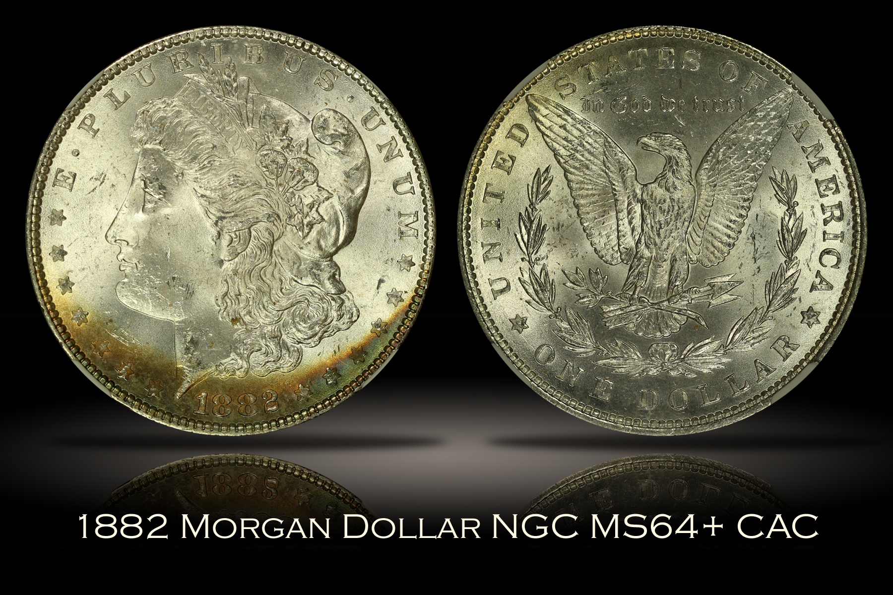 1882 Morgan Dollar NGC MS64+ CAC