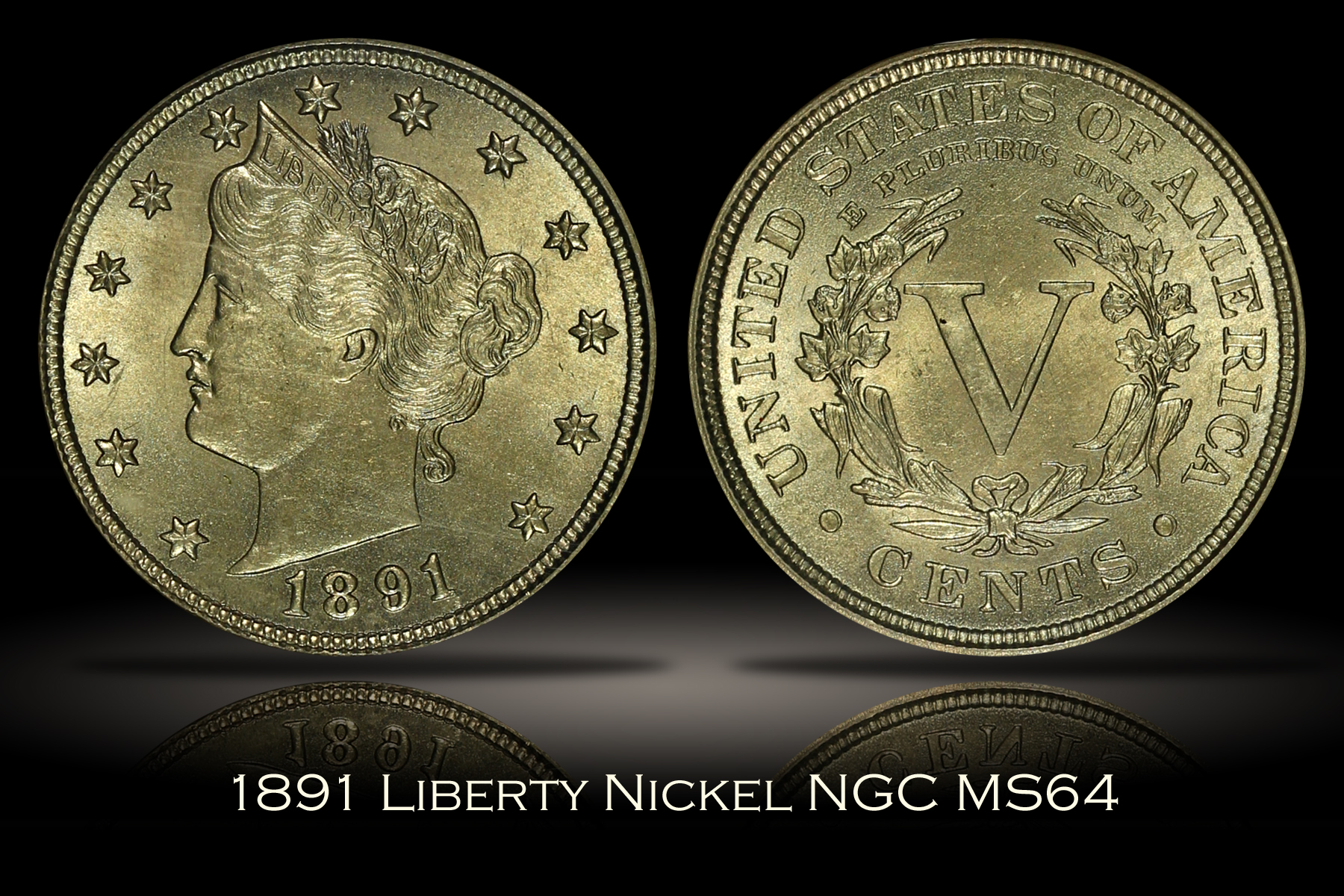 1891 Liberty Nickel NGC MS64