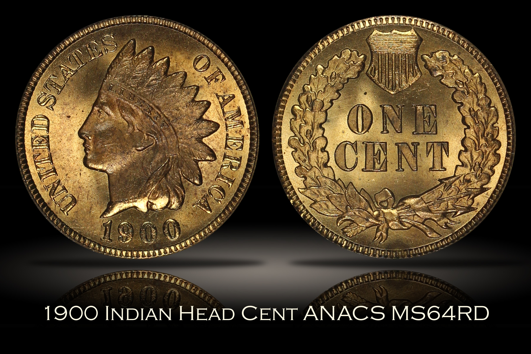 1900 Indian Head Cent ANACS MS64RD